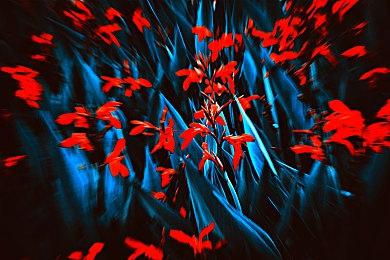 数据挖掘显示《龙珠：电光火石0》或将10月1日发售