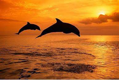 国产情感怀旧《水远山遥》上架Steam 年内发售