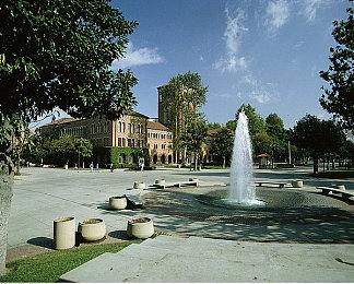 Rebel Wolves聘请《巫师3》资深人士为创意总监 3A奇幻RPG开发中